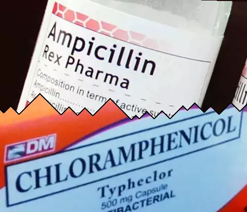 Ampicillin vs Kloramfenicol
