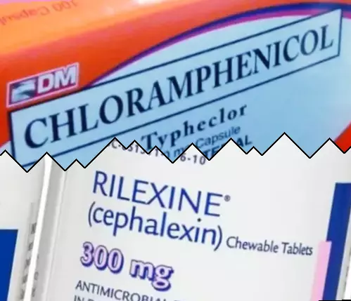 Kloramfenicol vs Cephalexin