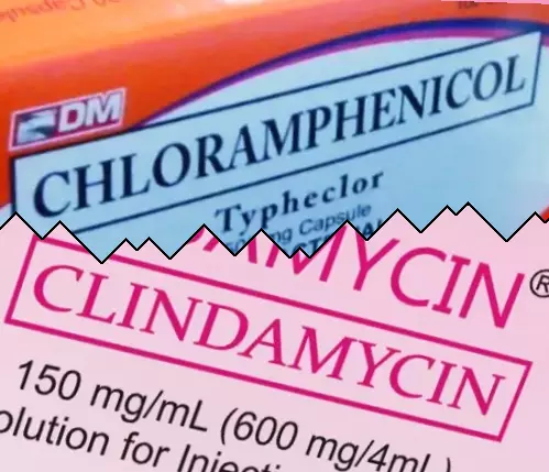 Kloramfenicol vs Clindamycin